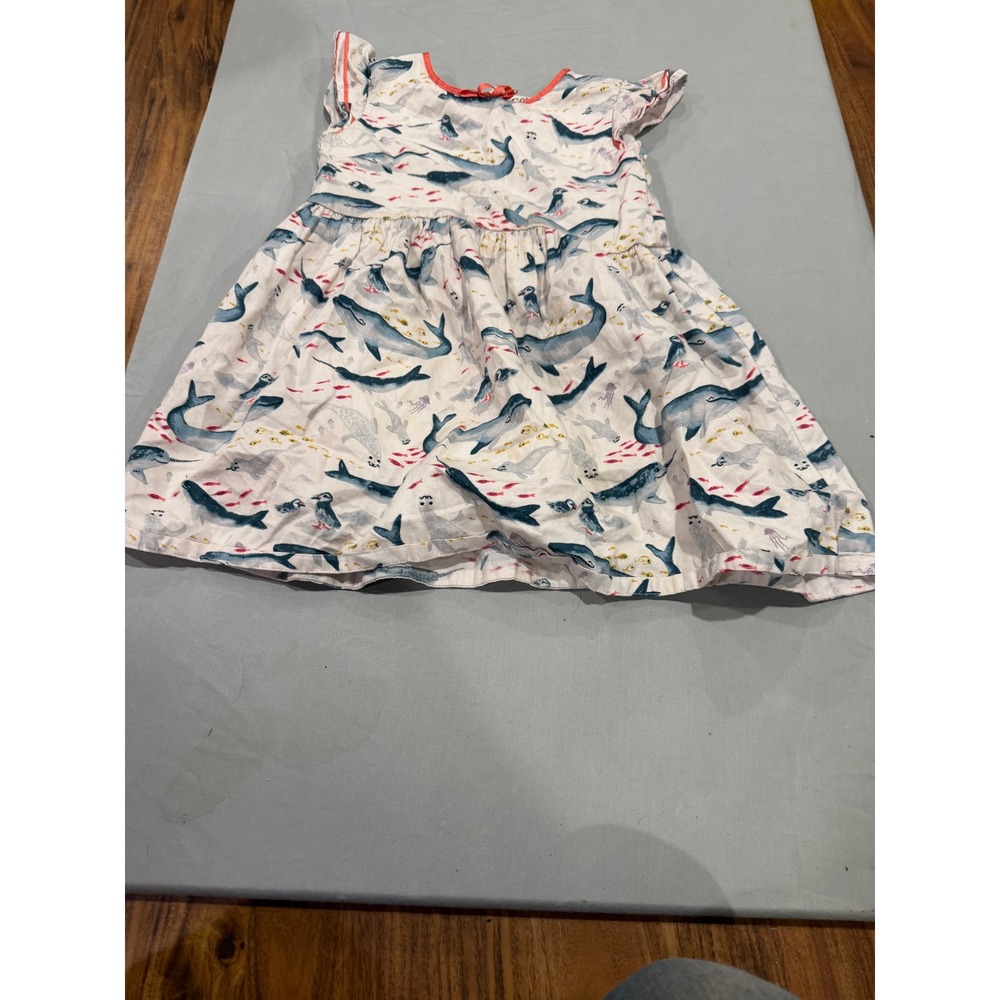 Nautical Toddler Girls Genuine Kids OshKosh Whale Print Gauze Dress 5T White